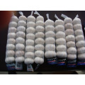 import chinese garlic 3p / 4p / 5p / 6p mesh bag packing